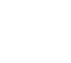 Maatwerk software